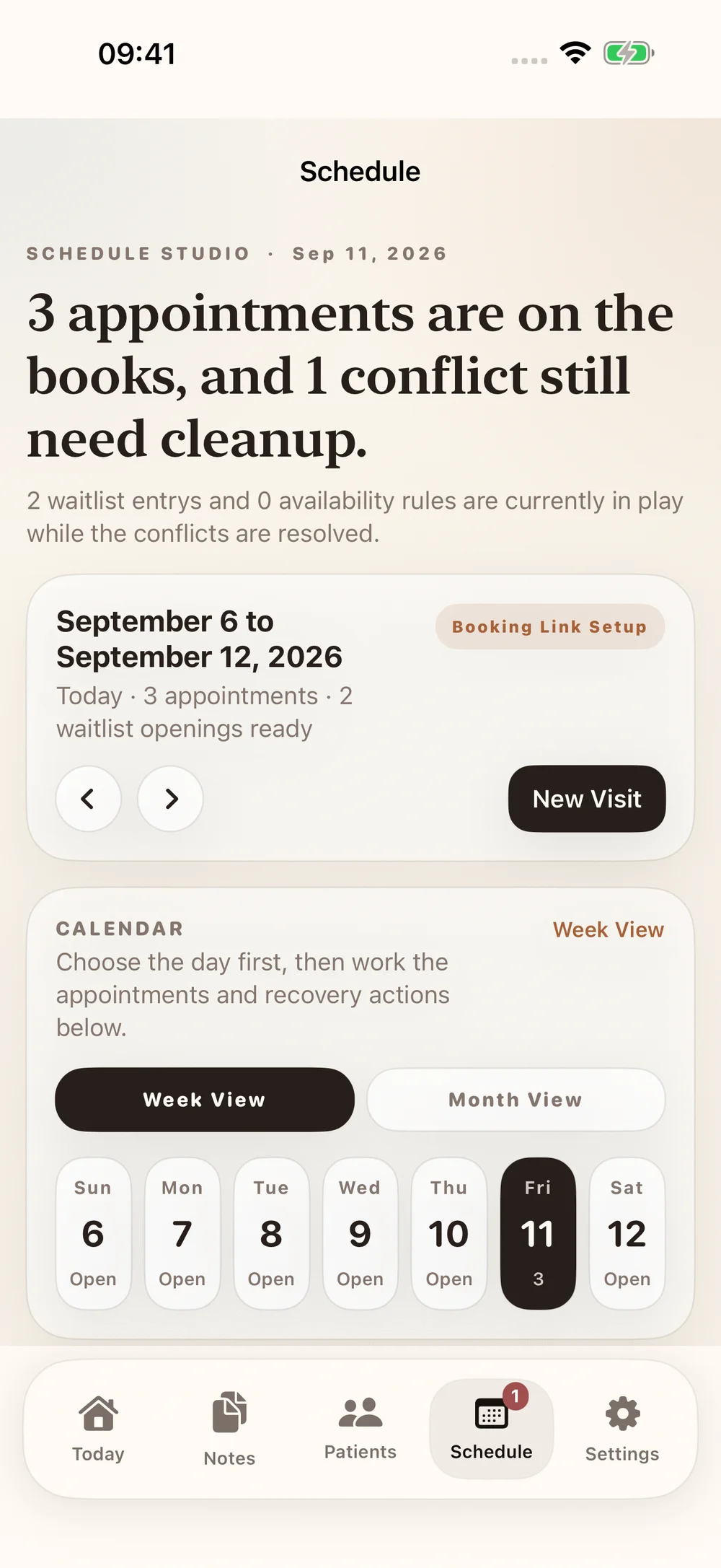 ChiroScribe schedule preview showing the calendar and appointment workflow